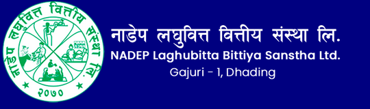 NADEP Laghubitta Bittiya Sanstha Ltd.